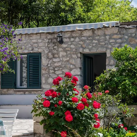 Doris * Zaton (Dubrovnik-Neretva)